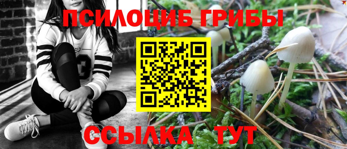Сокол  Галлюциногенные грибы ЛСД  Вход с VPN  Галлюциногенные грибы Psilocybe 