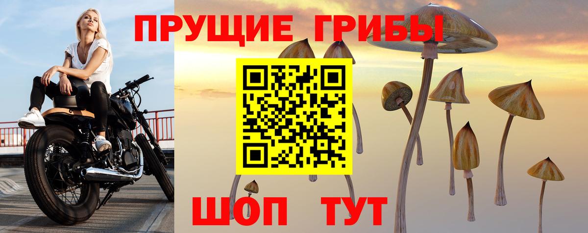Галлюциногенные грибы ЛСД Сокол